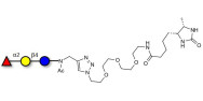 Blood group H antigen triose type 5 / 2’-Fucosyllactose (2'-FL) linked to desthiobiotin (Linker-DBT-A)