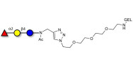 Blood group H antigen triose type 5 / 2’-Fucosyllactose (2'-FL) grafted on gel for affinity chromatography (Linker-GEL A)