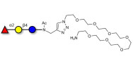 Blood group H antigen triose type 5 / 2’-Fucosyllactose (2'-FL) with free terminal amine (Linker-NH2 C)