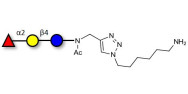 Blood group H antigen triose type 5 / 2’-Fucosyllactose (2'-FL) with free terminal amine (Linker-NH2 D)