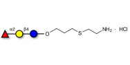 Blood group H antigen triose type 5 / 2’-Fucosyllactose (2'-FL) with free terminal amine (Linker-NH2 E)