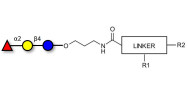 Blood group H antigen triose type 5 / 2’-Fucosyllactose (2'-FL) with customizable dual functionalization 