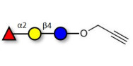 Blood group H antigen triose type 5 / 2’-Fucosyllactose (2'-FL) with terminal alkyne (Linker-CΞCH B)