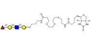 Blood group H antigen tetraose type 1 linked to biotin (Linker-BT C)