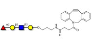 Blood group H antigen tetraose type 1 with DBCO (Linker-DBCO A)