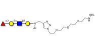 Blood group H antigen tetraose type 1 grafted on gel for affinity chromatography (Linker-GEL A)