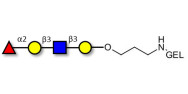 Blood group H antigen tetraose type 1 grafted on gel for affinity chromatography (Linker-GEL B)