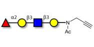Blood group H antigen tetraose type 1 with terminal alkyne (Linker-CΞCH A)