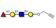 Blood group H antigen tetraose type 1 with terminal alkyne (Linker-CΞCH B)