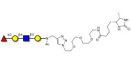 Blood group H antigen tetraose type 2 linked to desthiobiotin (Linker-DBT-A)