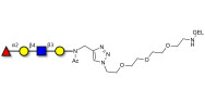 Blood group H antigen tetraose type 2 grafted on gel for affinity chromatography (Linker-GEL A)