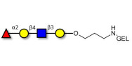 Blood group H antigen tetraose type 2 grafted on gel for affinity chromatography (Linker-GEL B)