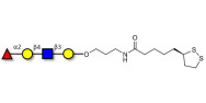 Blood group H antigen tetraose type 2 with cyclic di-thiol (Linker-LIPO A)