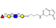 Blood group H antigen tetraose type 2 linked to maleimide (Linker-MAL A)