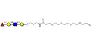 Blood group H antigen tetraose type 2 with terminal azide (Linker-N3 A)
