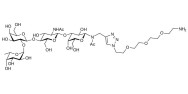 Blood group H antigen tetraose type 2 with free terminal amine (Linker-NH2 B)