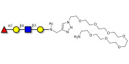 Blood group H antigen tetraose type 2 with free terminal amine (Linker-NH2 C)