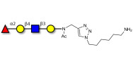 Blood group H antigen tetraose type 2 with free terminal amine (Linker-NH2 D)