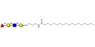 Blood group H antigen tetraose type 2 with stearic chain (Linker-STEA A)