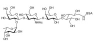 Lacto-N-fucopentaose I (LNFP I) / Blood group H antigen pentaose type 1 grafted on BSA