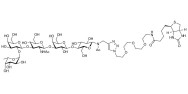 Lacto-N-fucopentaose I (LNFP I) / Blood group H antigen pentaose type 1 linked to biotin (Linker-BT A)
