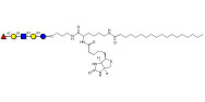Lacto-N-fucopentaose I (LNFP I) / Blood group H antigen pentaose type 1 linked to biotin and stearic chain (Linker-BT-STEA A)