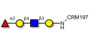 Lacto-N-fucopentaose I (LNFP I) / Blood group H antigen pentaose type 1 grafted on CRM197