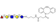 Lacto-N-fucopentaose I (LNFP I) / Blood group H antigen pentaose type 1 with DBCO (Linker-DBCO A)