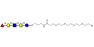 Lacto-N-fucopentaose I (LNFP I) / Blood group H antigen pentaose type 1 with terminal azide (Linker-N3 A)