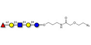 Lacto-N-fucopentaose I (LNFP I) / Blood group H antigen pentaose type 1 with terminal azide (Linker-N3 B)