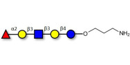 Lacto-N-fucopentaose I (LNFP I) / Blood group H antigen pentaose type 1 with free terminal amine (Linker-NH2 A)