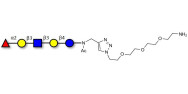 Lacto-N-fucopentaose I (LNFP I) / Blood group H antigen pentaose type 1 with free terminal amine (Linker-NH2 B)