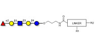 Lacto-N-fucopentaose I (LNFP I) / Blood group H antigen pentaose type 1 with customizable dual functionalization 