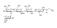 Lacto-N-fucopentaose I (LNFP I) / Blood group H antigen pentaose type 1 with terminal alkyne (Linker-CΞCH A)