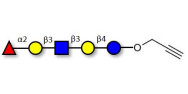 Lacto-N-fucopentaose I (LNFP I) / Blood group H antigen pentaose type 1 with terminal alkyne (Linker-CΞCH B)