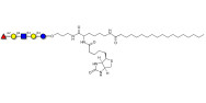 Blood group H antigen pentaose type 2 / Lacto-N-neofucopentaose I (LnNFP I) linked to biotin and stearic chain (Linker-BT-STEA A)