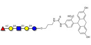 Blood group H antigen pentaose type 2 / Lacto-N-neofucopentaose I (LnNFP I) linked to fluorescein (Linker-FLUO A)