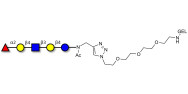 Blood group H antigen pentaose type 2 / Lacto-N-neofucopentaose I (LnNFP I) grafted on gel for affinity chromatography (Linker-GEL A)