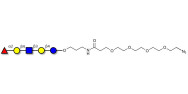 Blood group H antigen pentaose type 2 / Lacto-N-neofucopentaose I (LnNFP I) with terminal azide (Linker-N3 A)