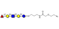 Blood group H antigen pentaose type 2 / Lacto-N-neofucopentaose I (LnNFP I) with terminal azide (Linker-N3 B)