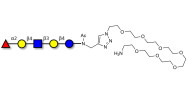 Blood group H antigen pentaose type 2 / Lacto-N-neofucopentaose I (LnNFP I) with free terminal amine (Linker-NH2 C)