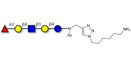 Blood group H antigen pentaose type 2 / Lacto-N-neofucopentaose I (LnNFP I) with free terminal amine (Linker-NH2 D)