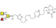 Blood group A antigen triose linked to biotin (Linker-BT A)