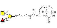 Blood group A antigen triose linked to biotin (Linker-BT B)