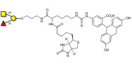 Blood group A antigen triose linked to biotin and fluorescein (Linker-BT-FLUO A)