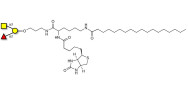 Blood group A antigen triose linked to biotin and stearic chain (Linker-BT-STEA A)