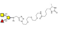 Blood group A antigen triose linked to desthiobiotin (Linker-DBT-A)