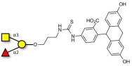 Blood group A antigen triose linked to fluorescein (Linker-FLUO A)