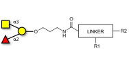 Blood group A antigen triose with customizable dual functionalization 