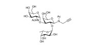 Blood group A antigen triose with terminal alkyne (Linker-CΞCH A)